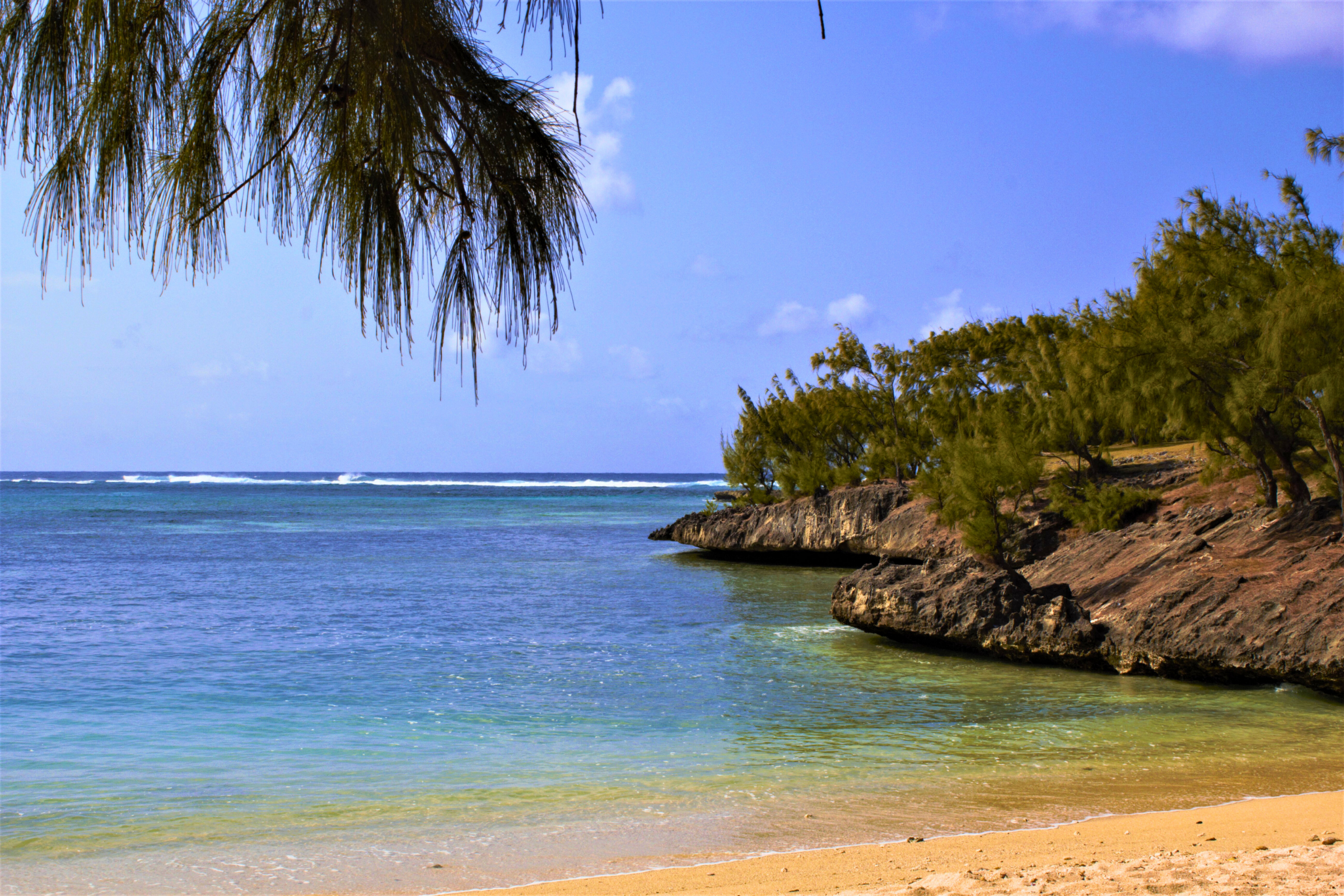 rodrigues (3).webp